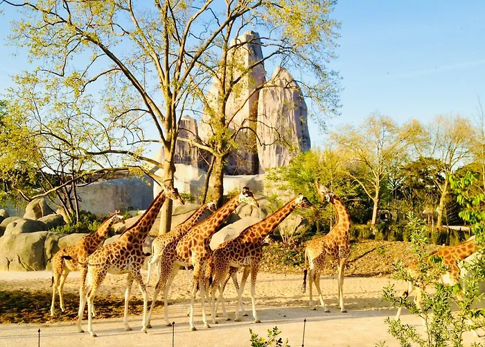 Maison 50 M2, A 5 Minutes De Paris Et Ideal Pour Disney